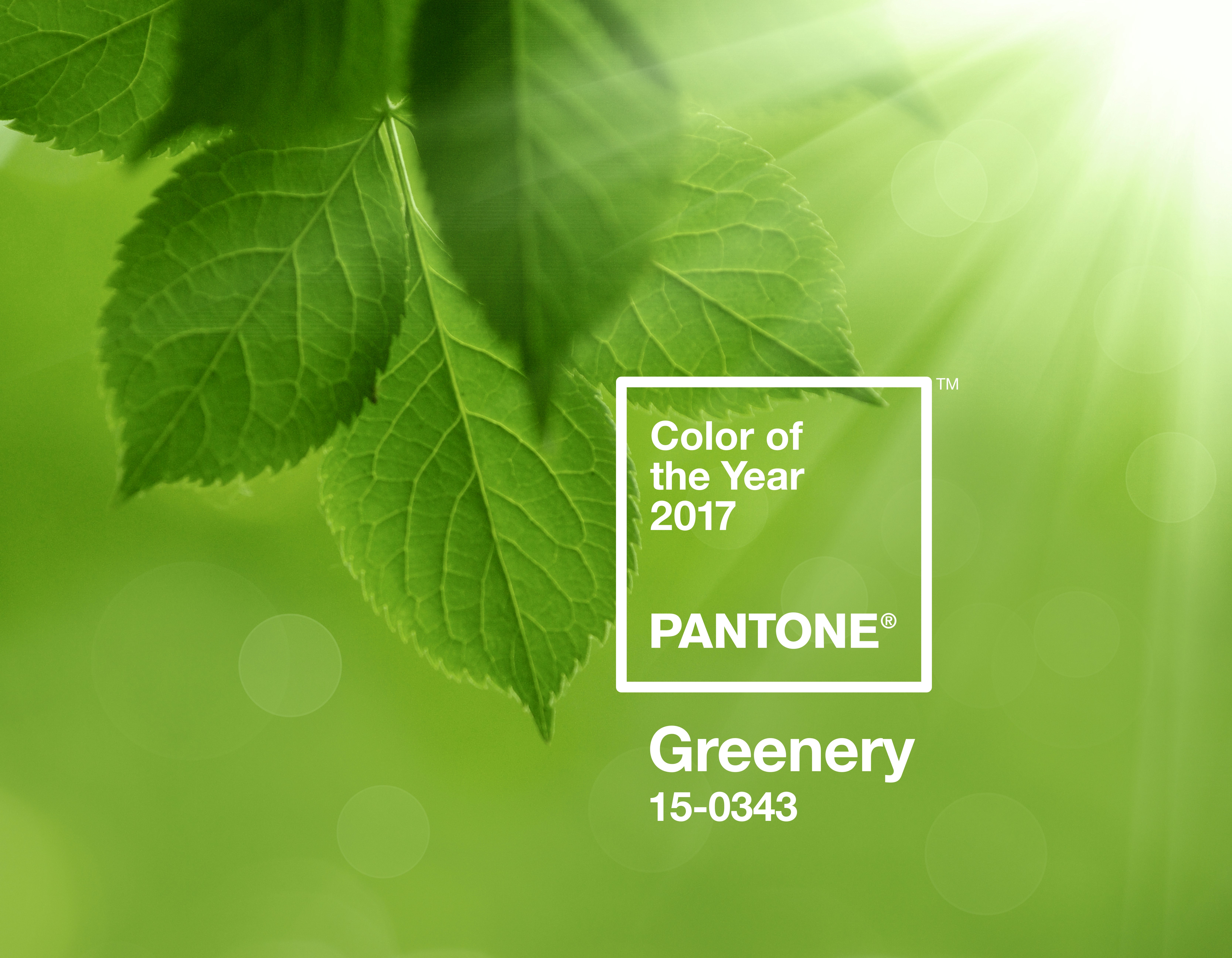 pantone-color-of-the-year-2017-greenery-15-0343-press-release-1