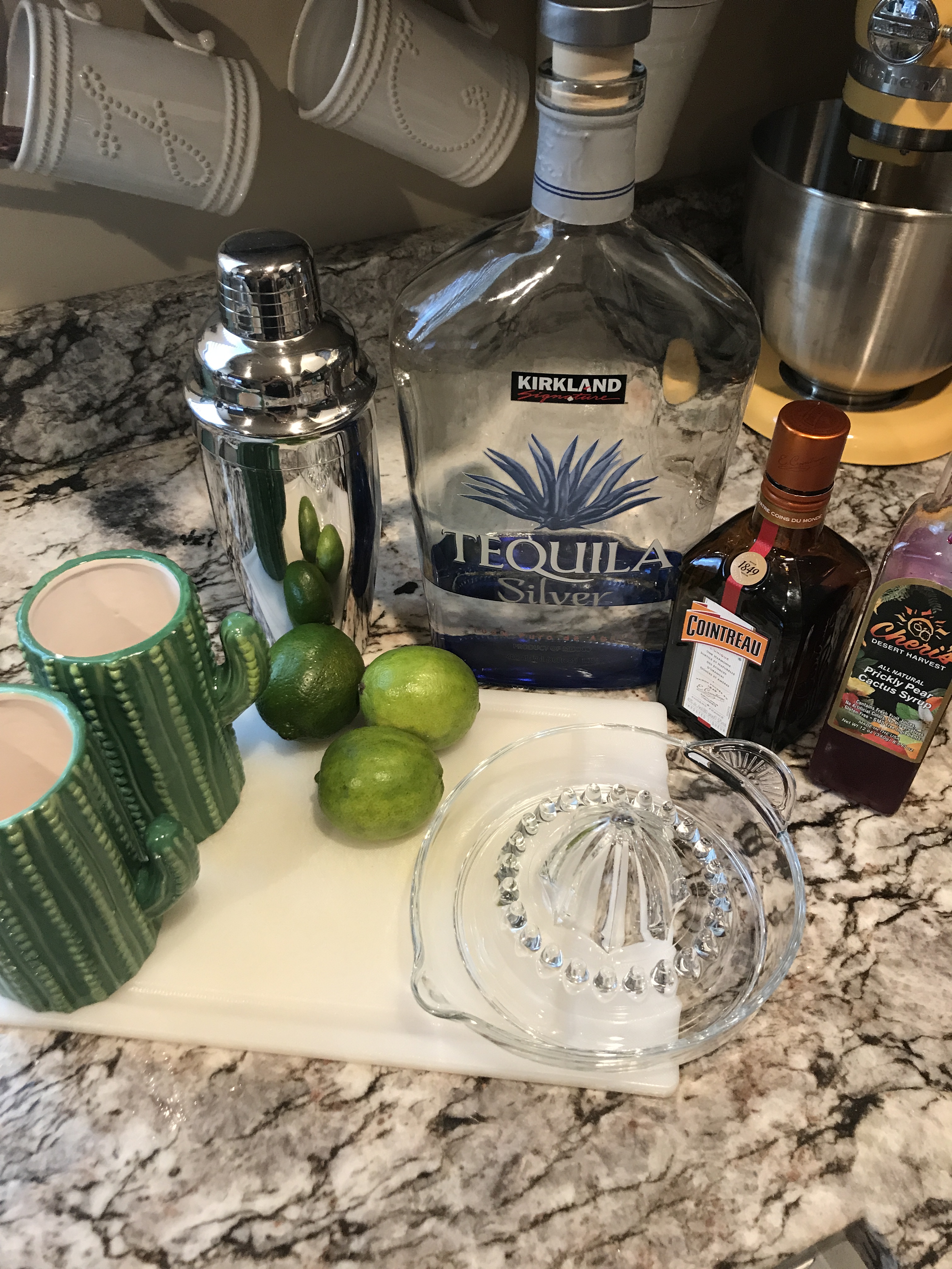 cactus cocktail 12